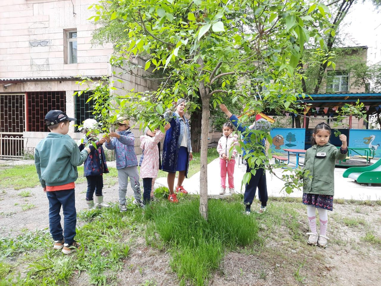 Мектепалды даярлық “Балапан” тобы. Табиғатты бақылау.