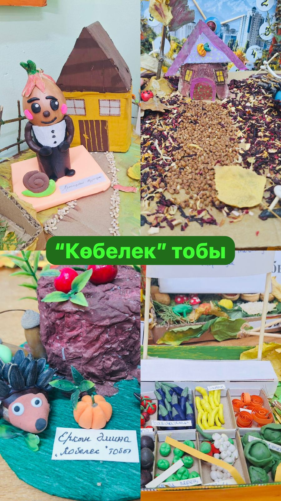 Ересек "Көбелек" тобы "Күзгі асар жәреңкесі"